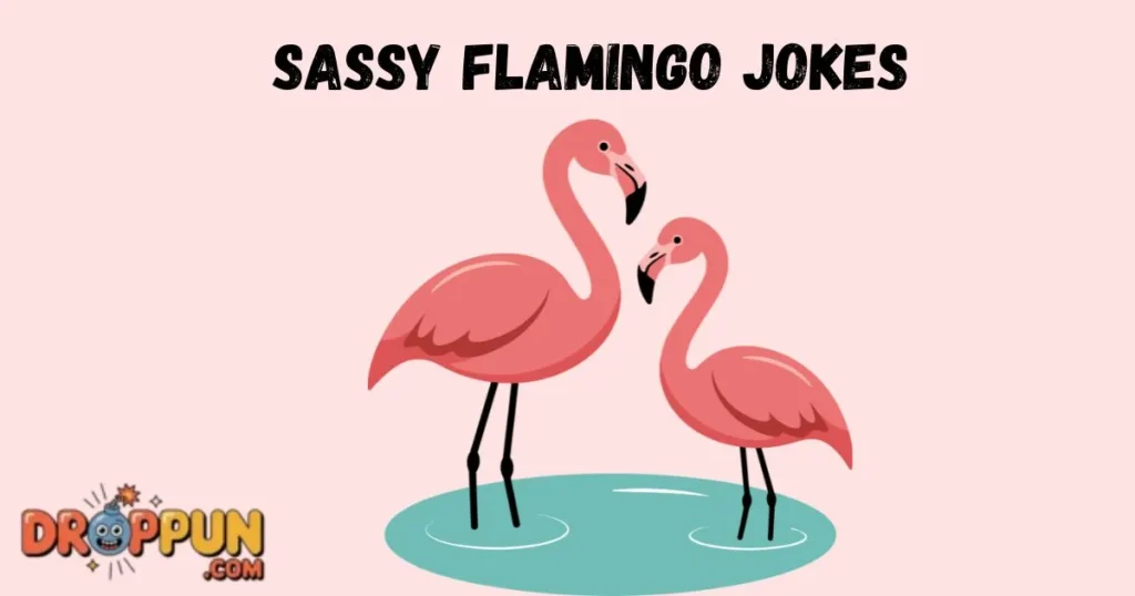 Sassy Flamingo Jokes