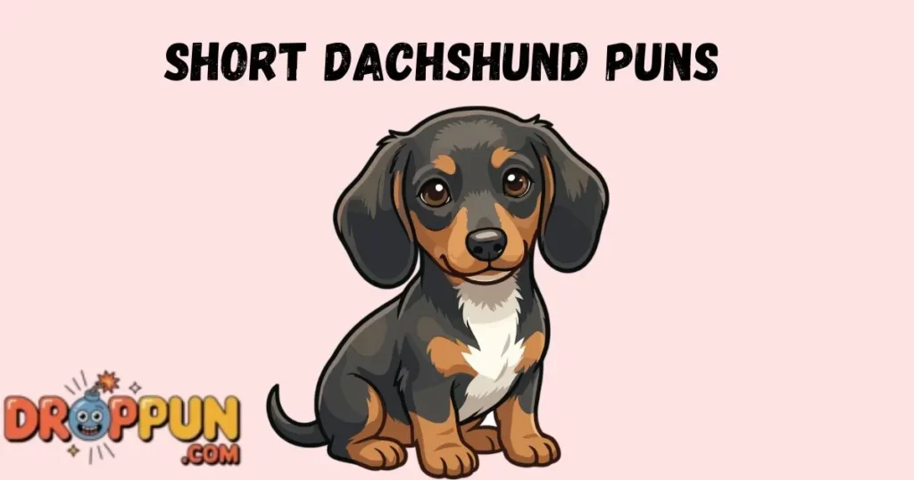 Short Dachshund Puns