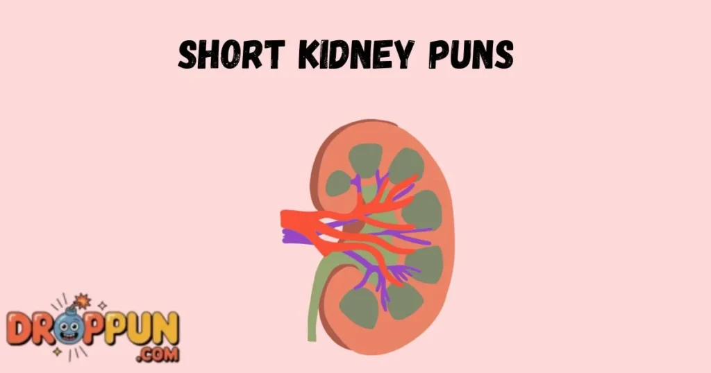 Short Kidney Puns