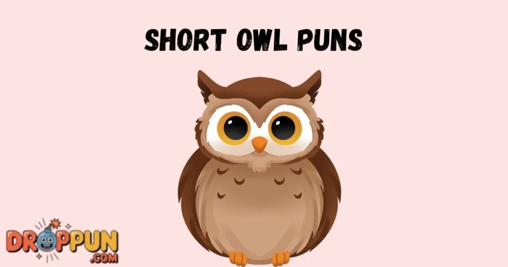 Short Owl Puns