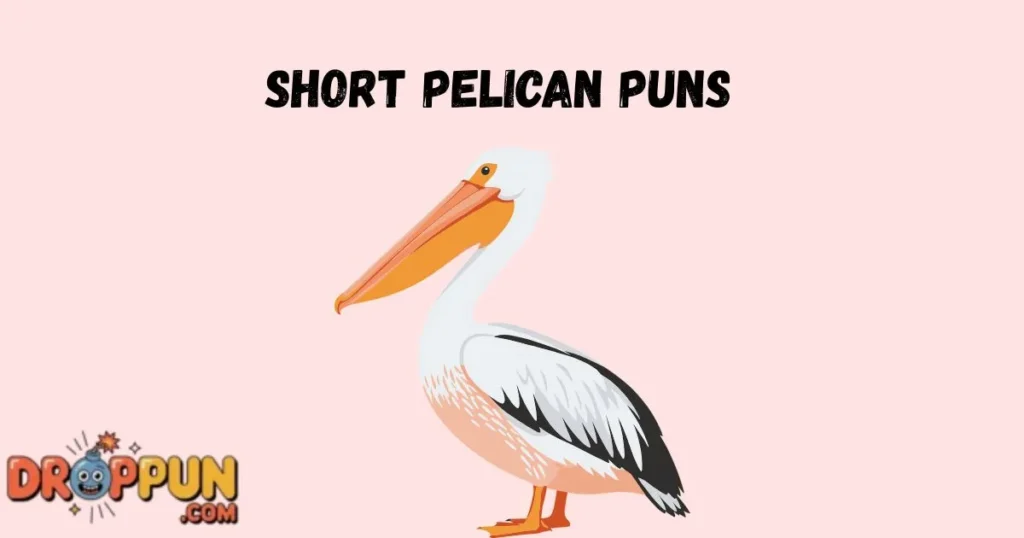Short Pelican Puns