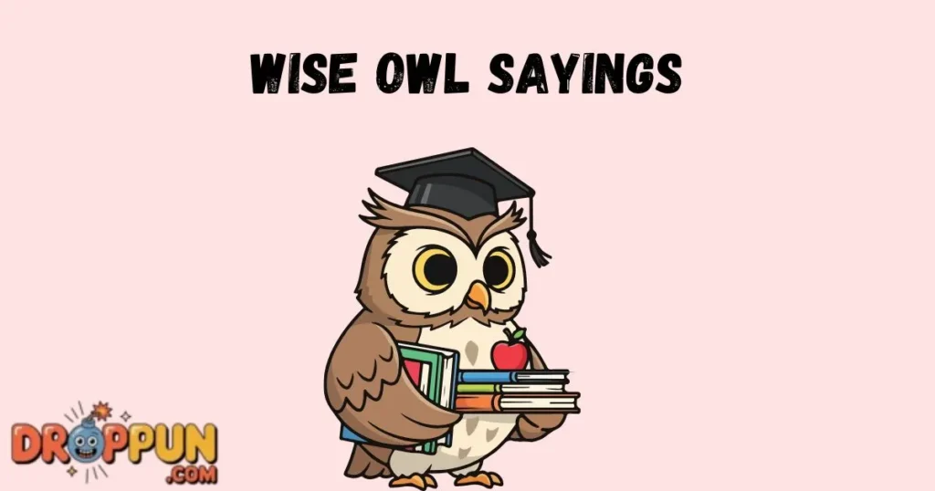 Wise Owl Sayings