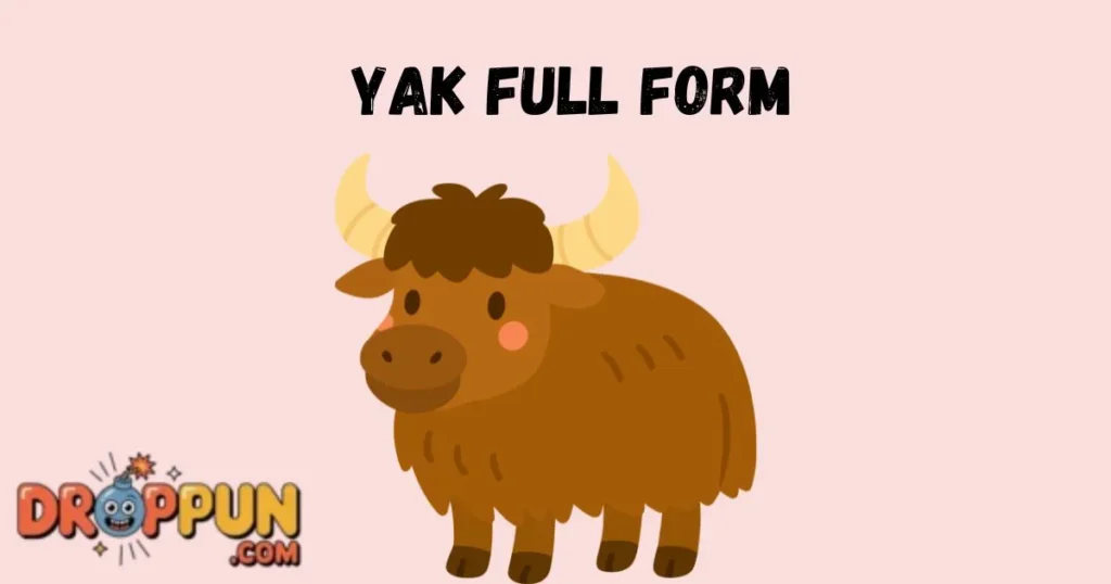 Yak Full Form