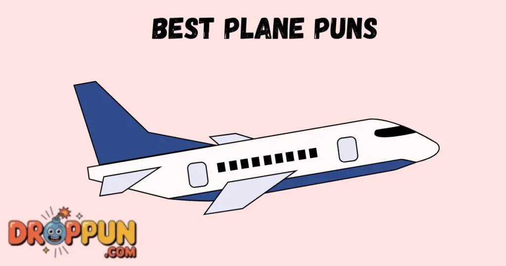 Best Plane Puns