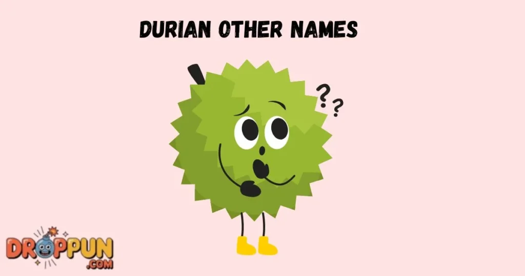 Durian Other Names