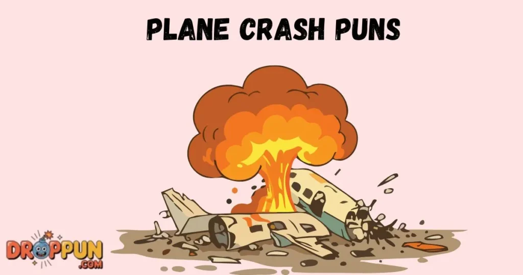Plane Crash Puns