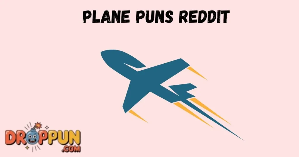 Plane Puns Reddit