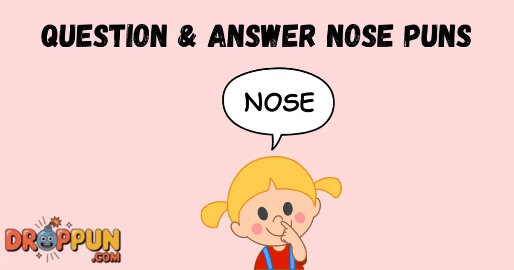 Question And Answer Nose Puns