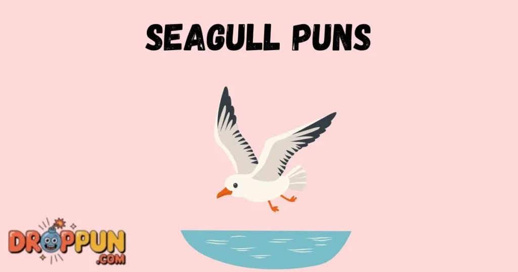 Seagull Puns