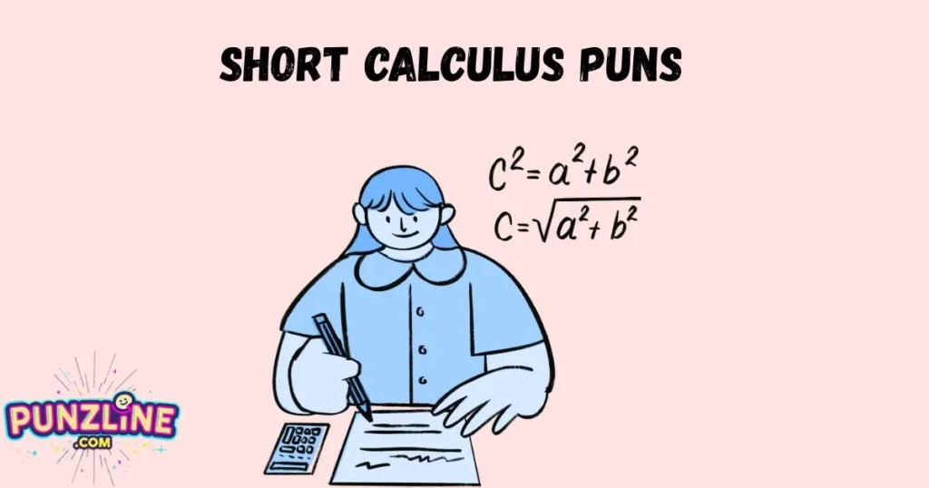 Short Calculus Puns