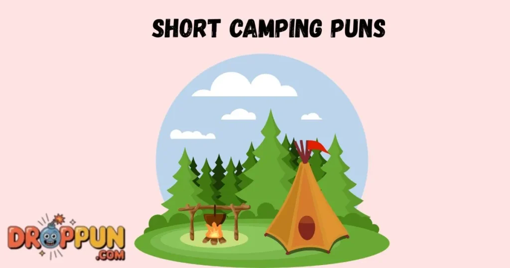 Short Camping Puns