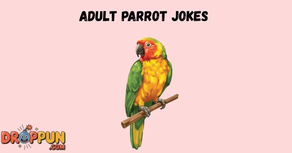 Adult Parrot Jokes