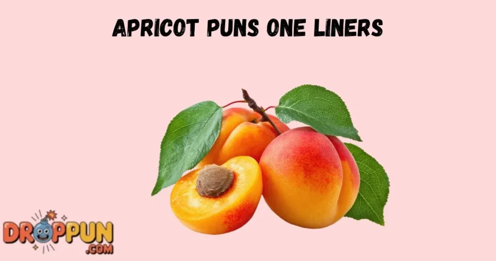 Apricot Puns One Liners