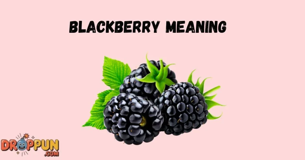 Blackberry Meaning