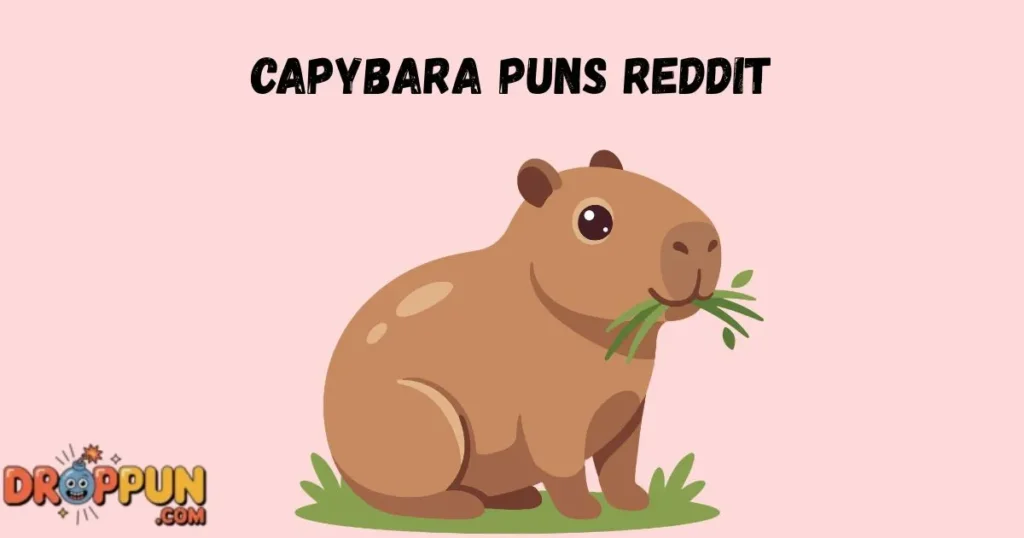 Capybara Puns Reddit