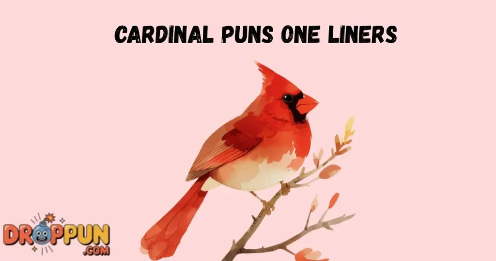 Cardinal Puns One Liners