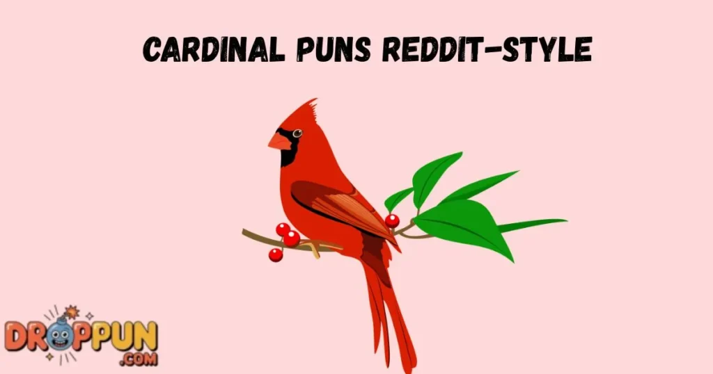 Cardinal Puns Reddit Style