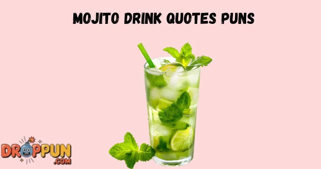 Mojito Drink Quotes Puns