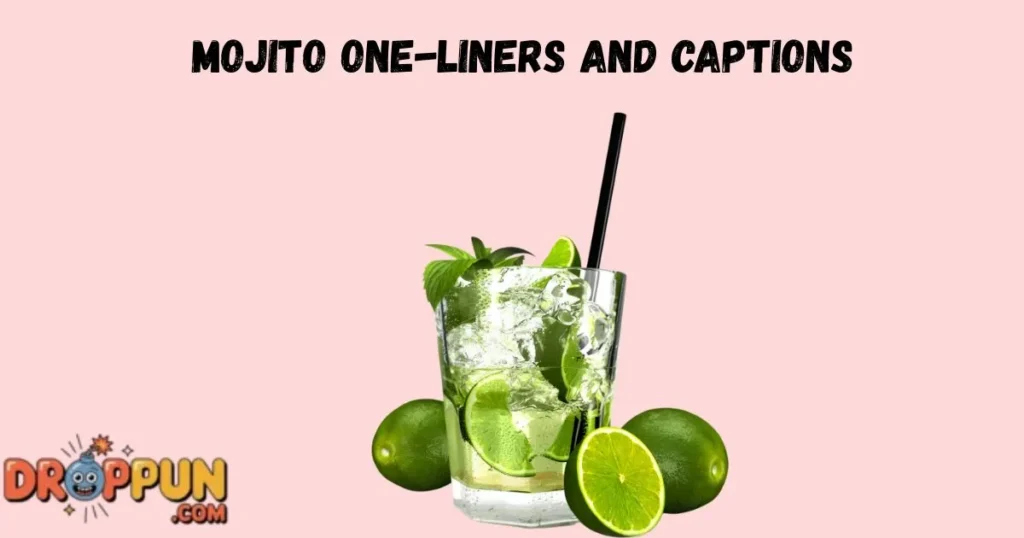 Mojito One Liners And Captions