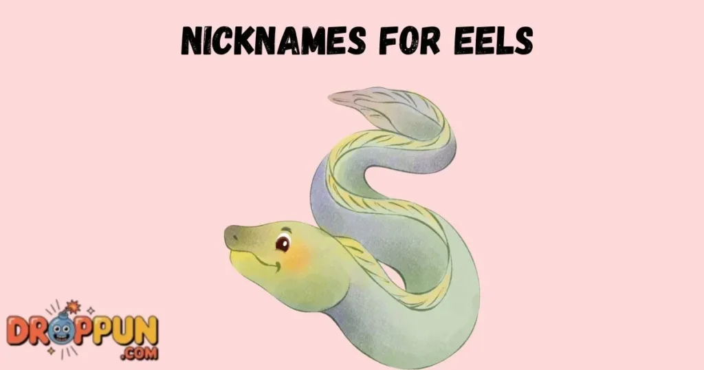 Nicknames For Eels