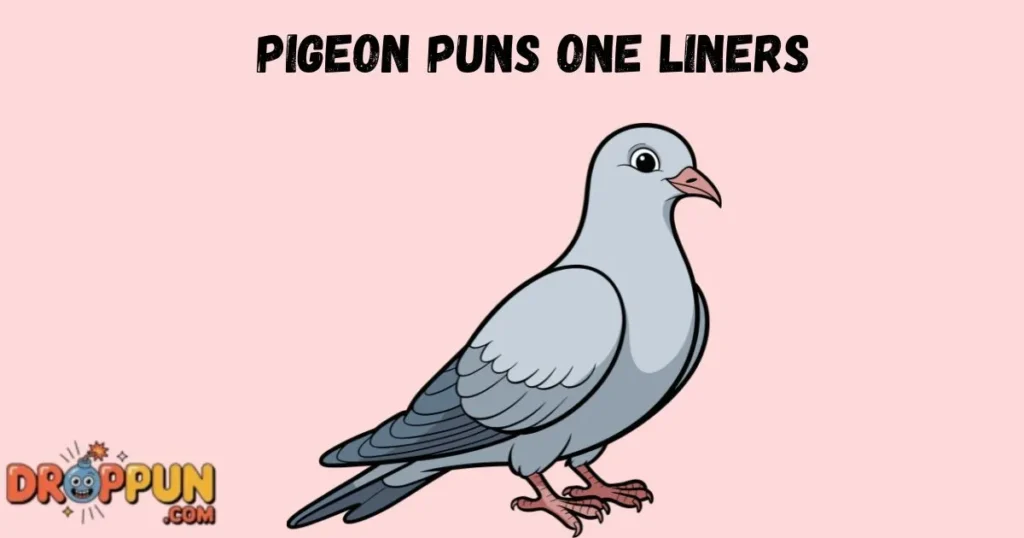 Pigeon Puns One Liners
