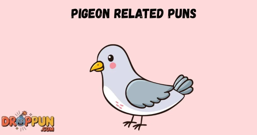Pigeon Related Puns