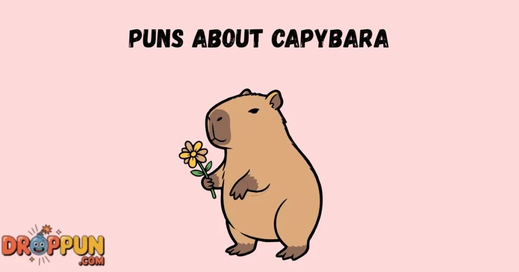 Puns About Capybara