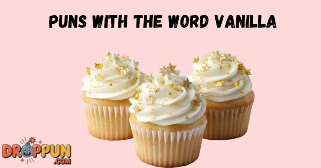 Puns With The Word Vanilla