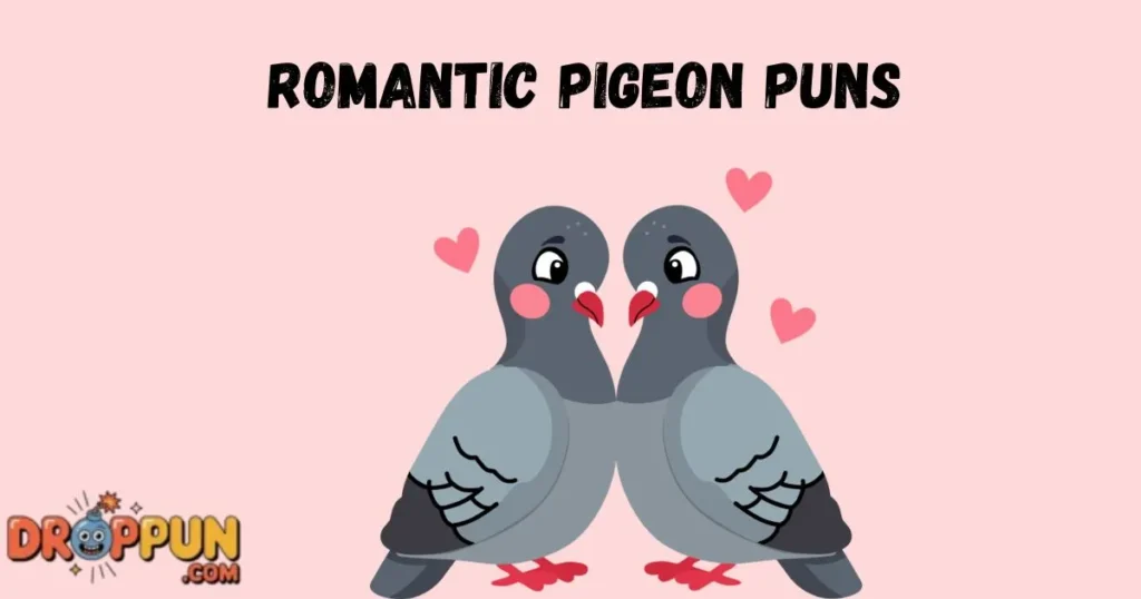 Romantic Pigeon Puns