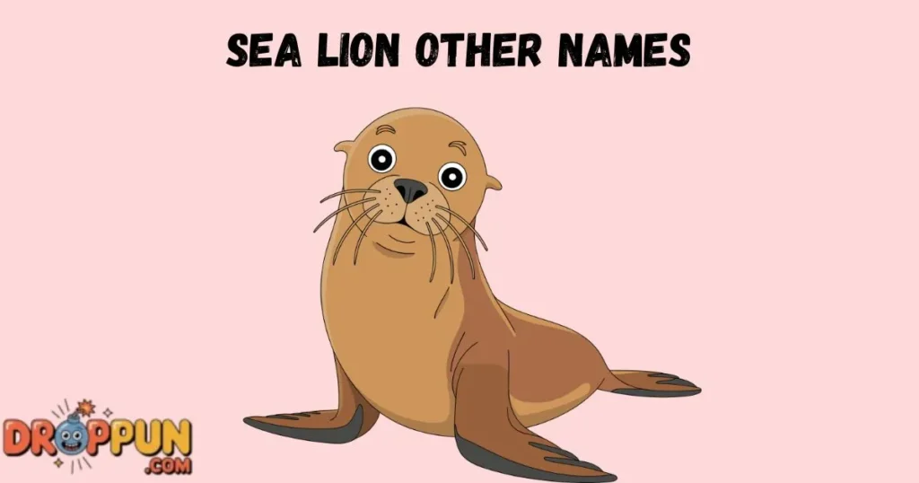 Sea Lion Other Names