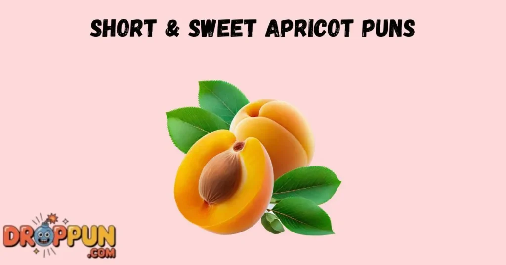 Short And Sweet Apricot Puns