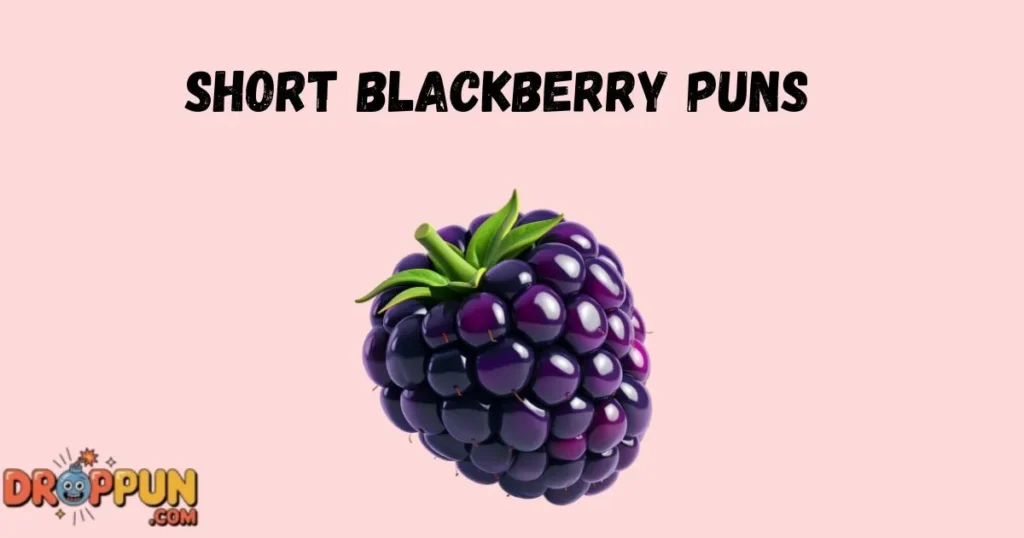 Short Blackberry Puns