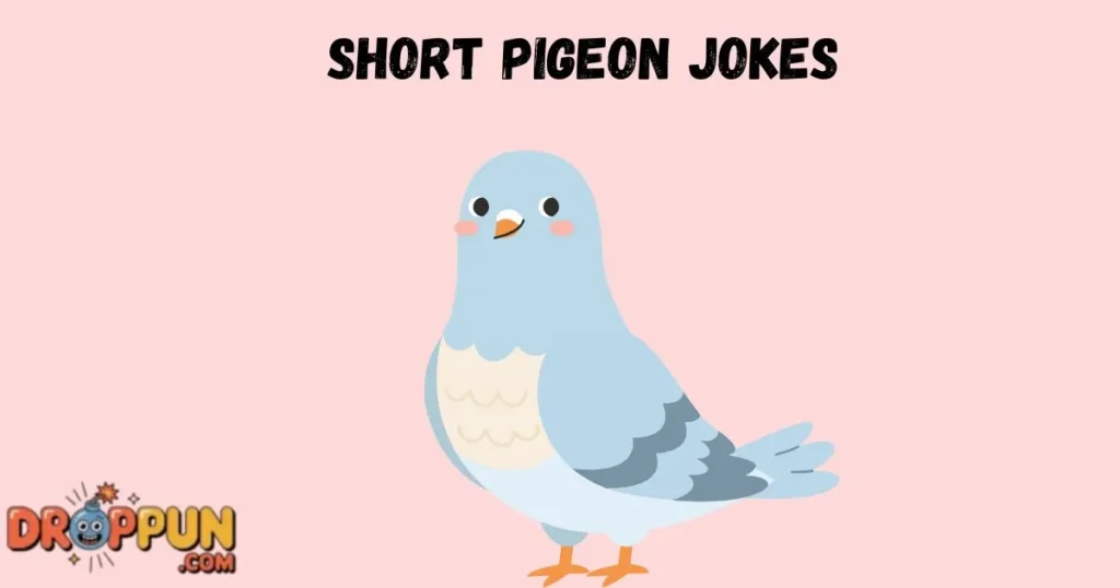 Short Pigeon Jokes