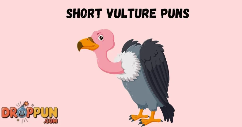 Short Vulture Puns