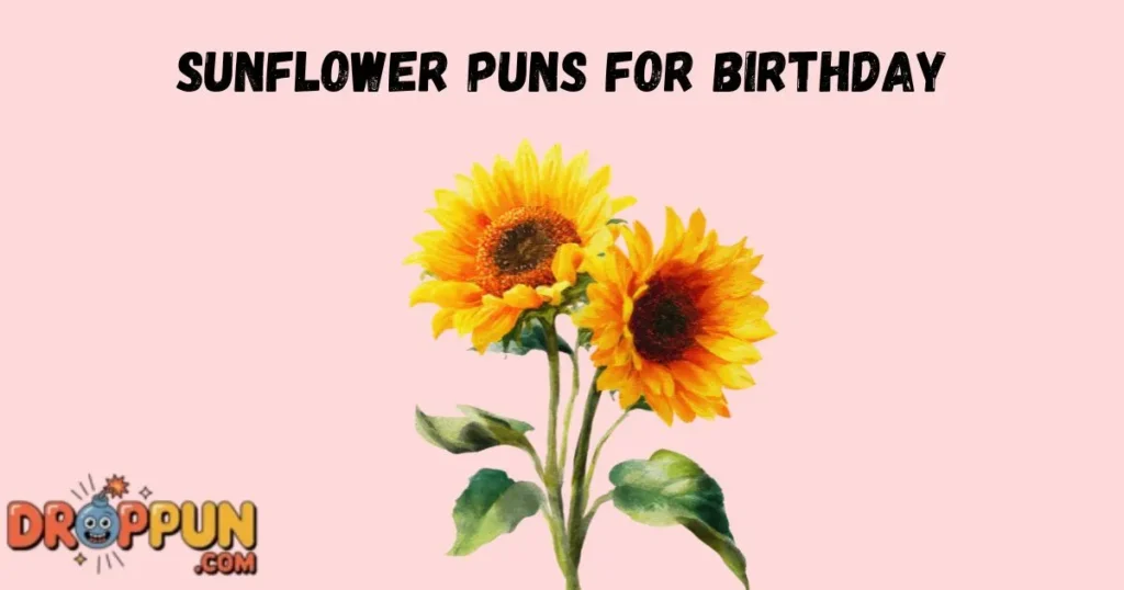 Sunflower Puns For Birthday