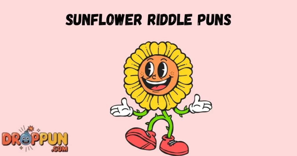 Sunflower Riddle Puns