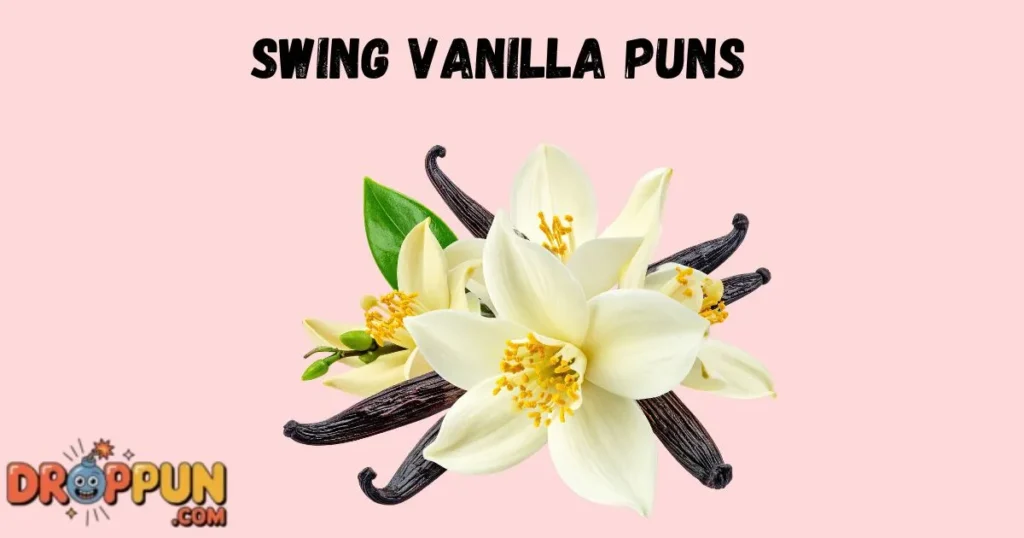 Swing Vanilla Puns