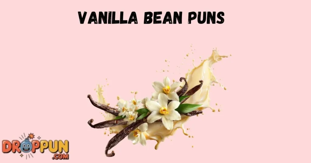 Vanilla Bean Puns