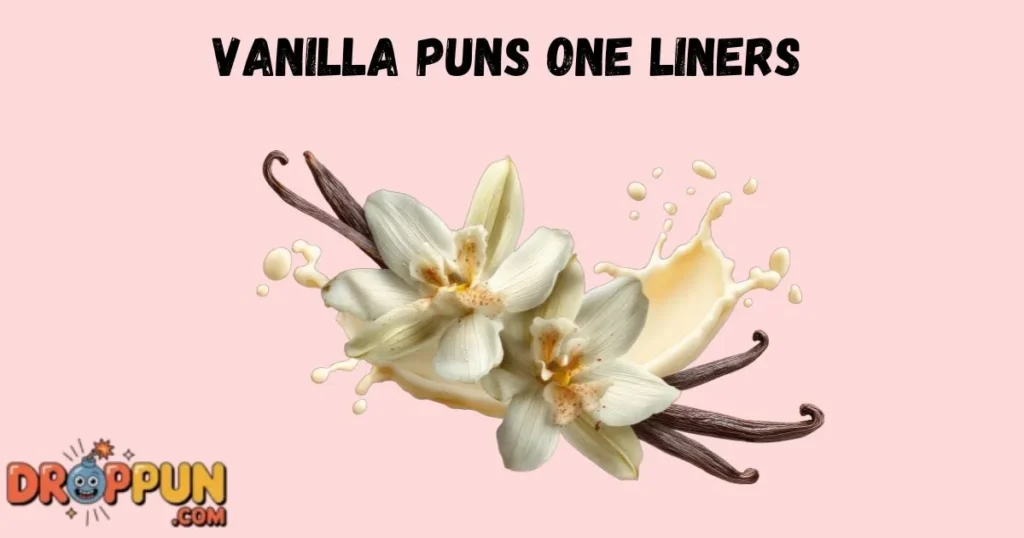 Vanilla Puns One Liners