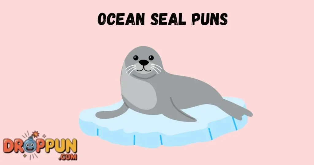 Ocean Seal Puns