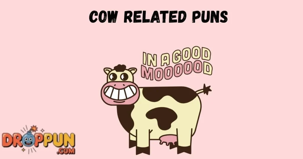 Cow Related Puns