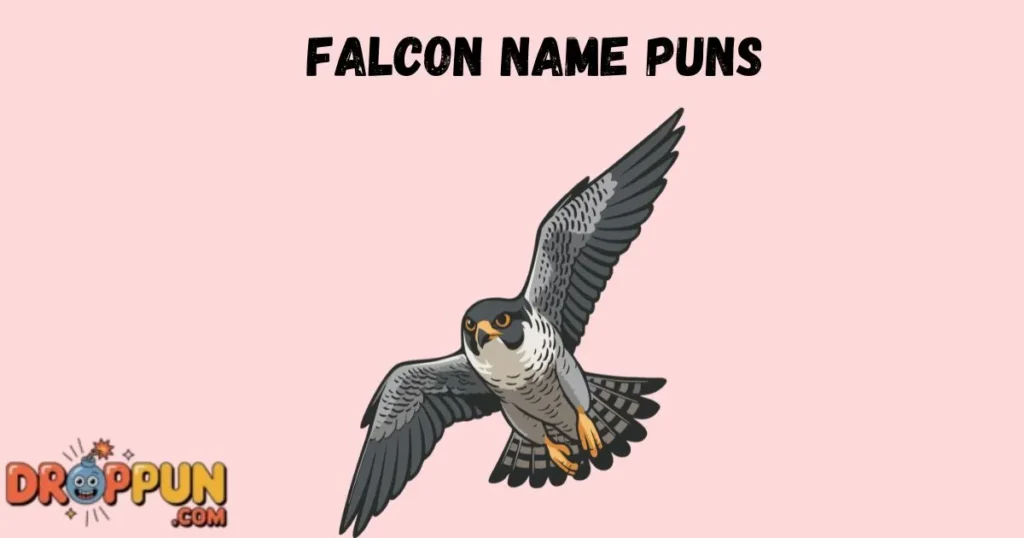 Falcon Name Puns