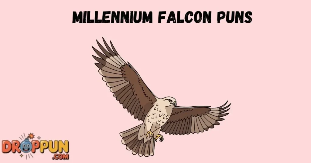 Millennium Falcon Puns