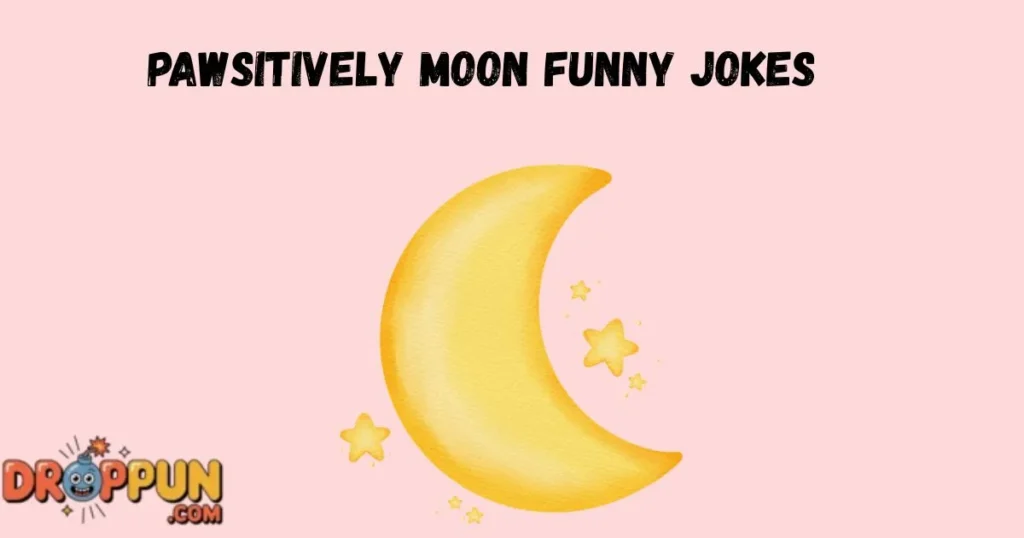 Pawsitively Moon Funny Jokes