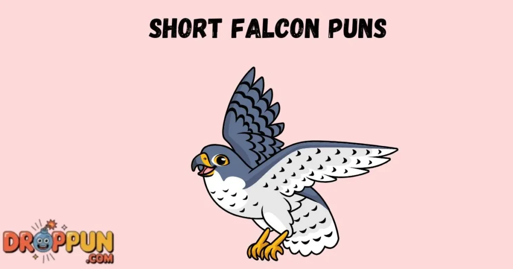 Short Falcon Puns