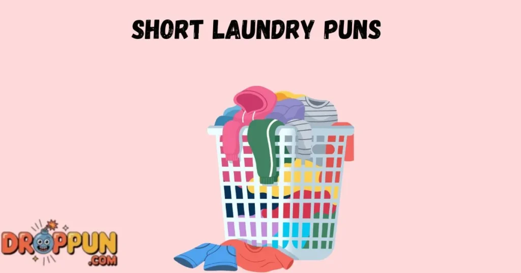 Short Laundry Puns