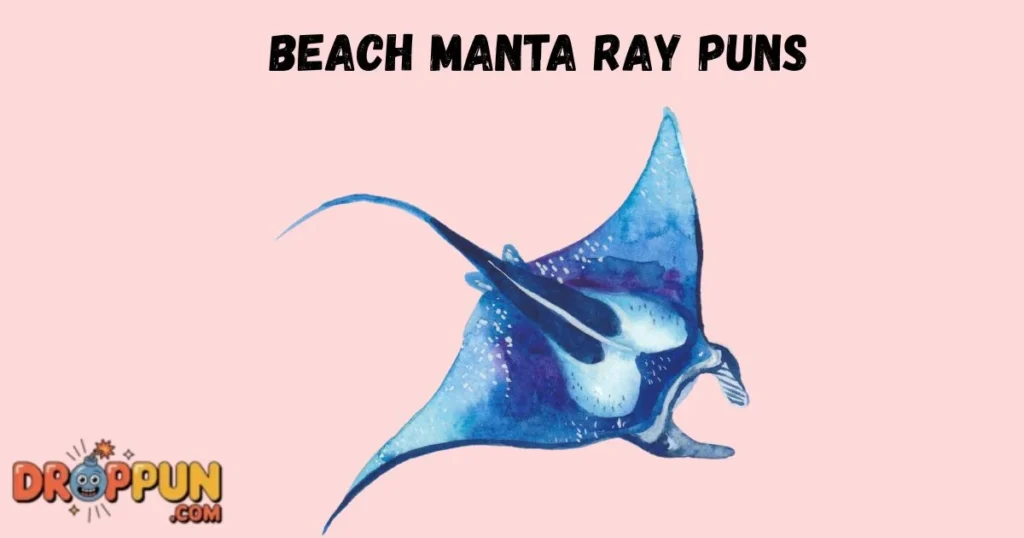 Beach Manta Ray Puns