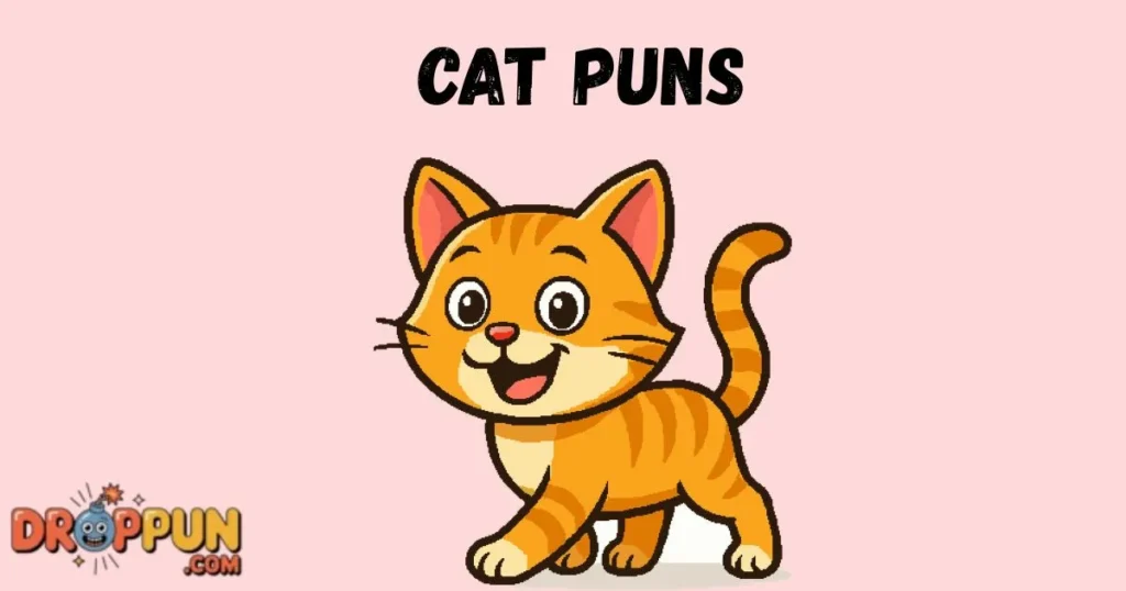 Cat Puns