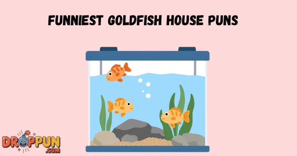 Funniest Goldfish House Puns
