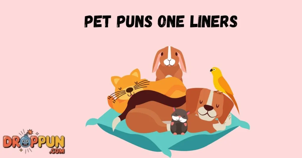 Pet Puns One Liners